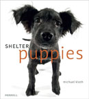 Shelter Puppies